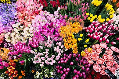 《枯瑟信仰：放逐者》动画被指抄袭《艾尔登法环》